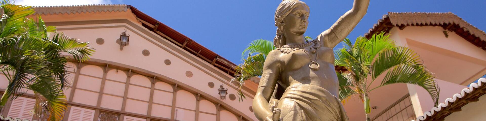 Alberto Maranhao Theater showing a statue or sculpture