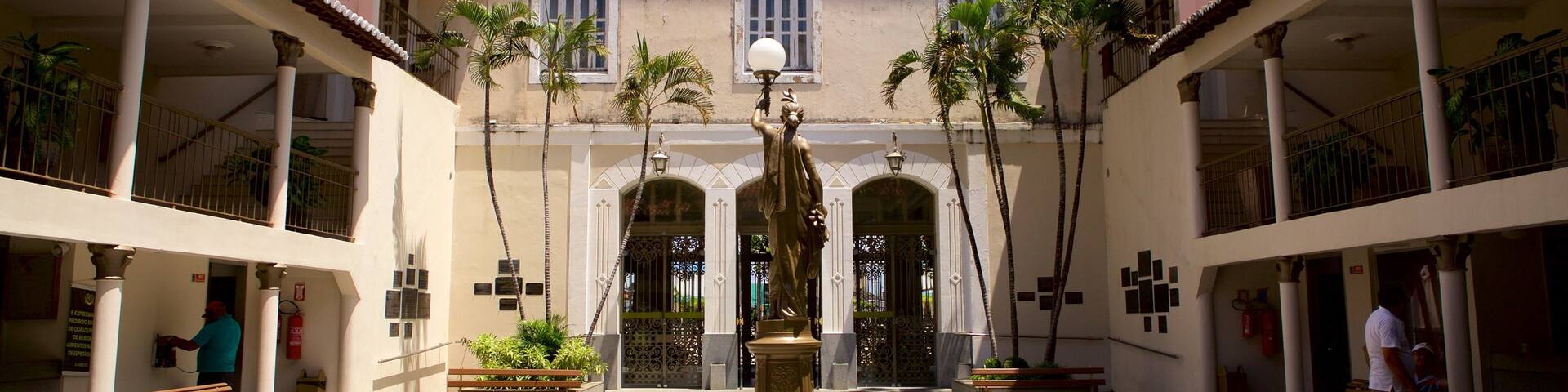 Alberto Maranhao Theater featuring theatre scenes and a statue or sculpture