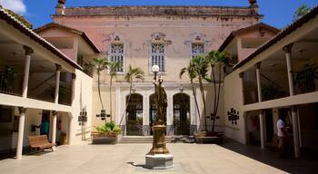 Alberto Maranhao Theater showing a statue or sculpture and theater scenes