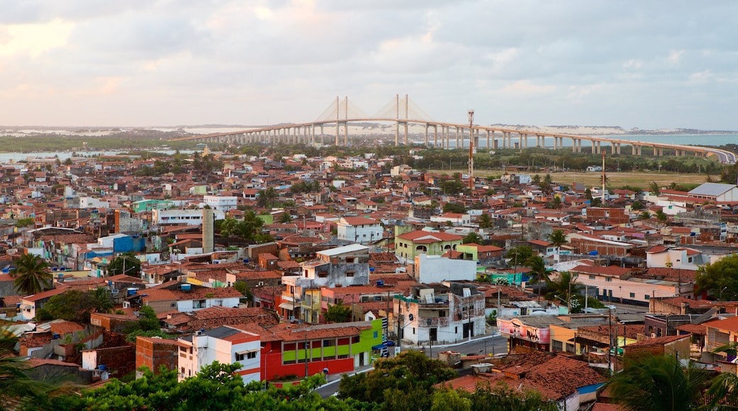 Newton Navarro Bridge showing a bridge