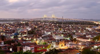 Newton Navarro Bridge which includes a bridge and night scenes