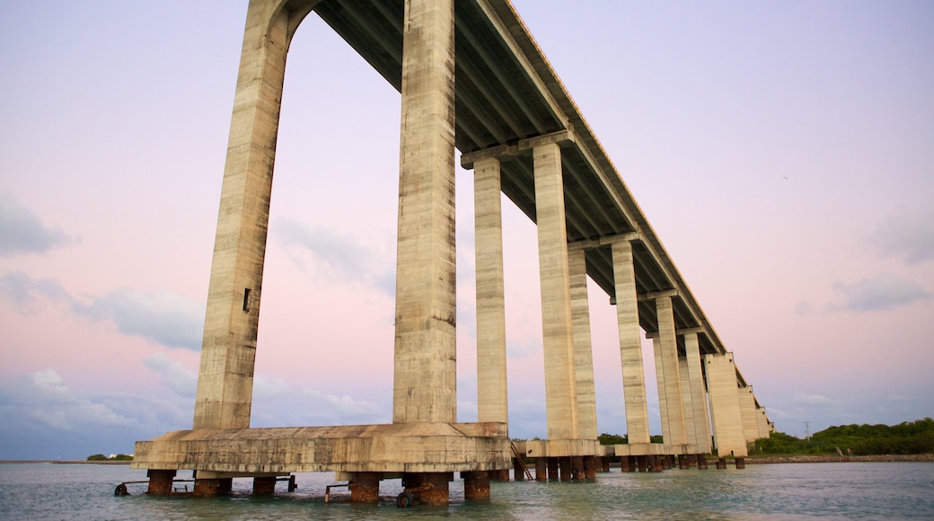 Puente Newton Navarro mostrando un puente, vistas generales de la costa y una bahía o puerto