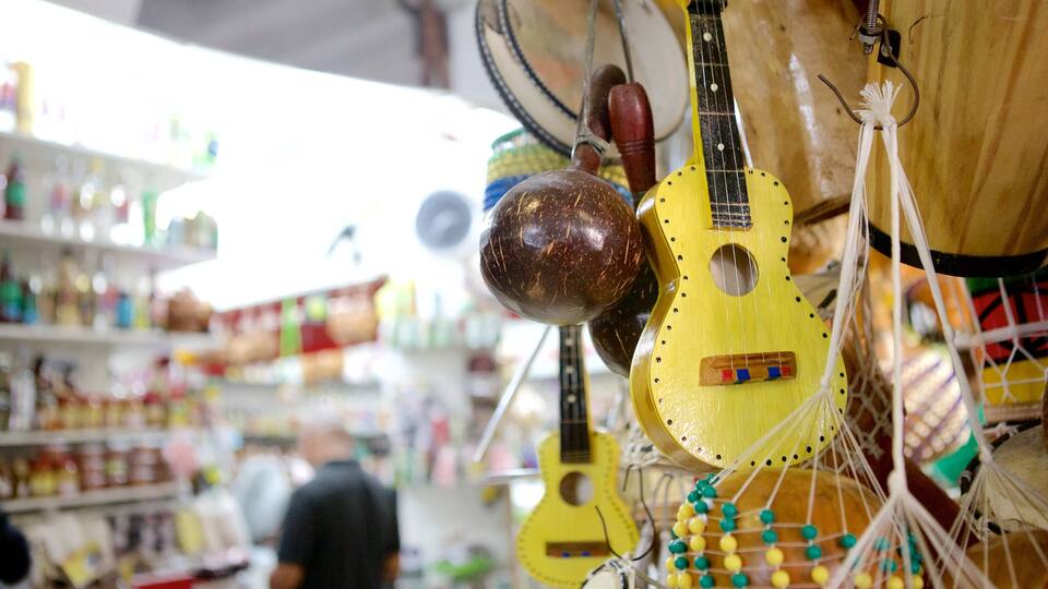 Mercado Modelo featuring interior views and shopping