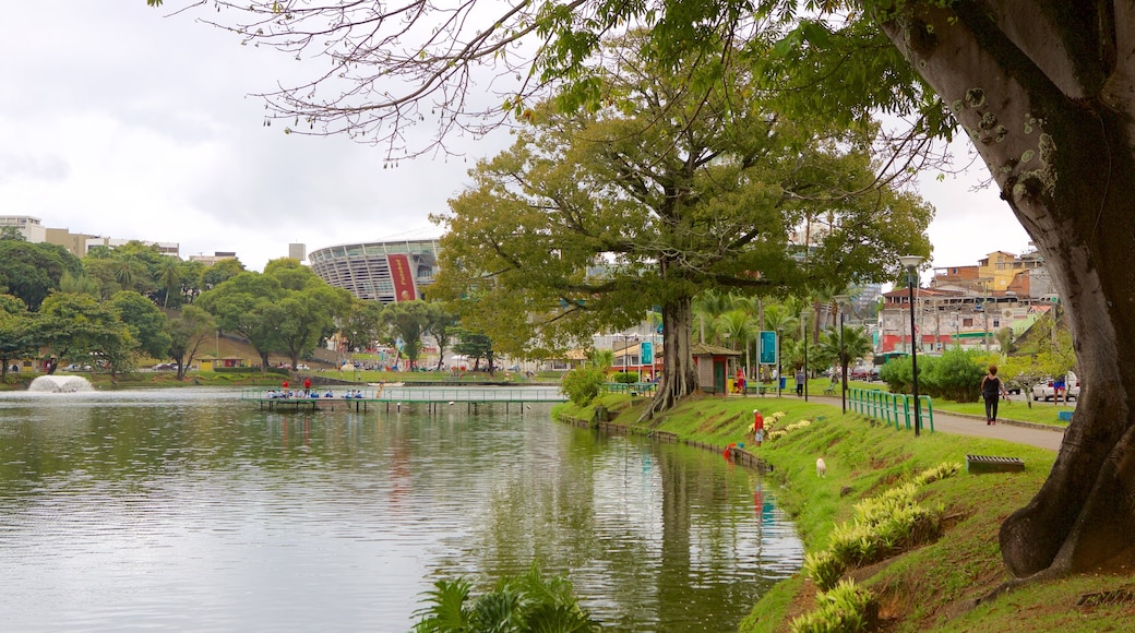 Fonte Nova Stadium showing a garden and a lake or waterhole