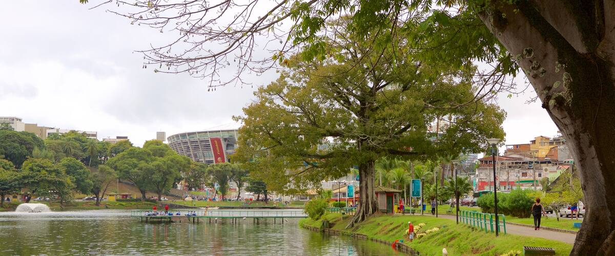 Fonte Nova Stadium which includes a park and a lake or waterhole