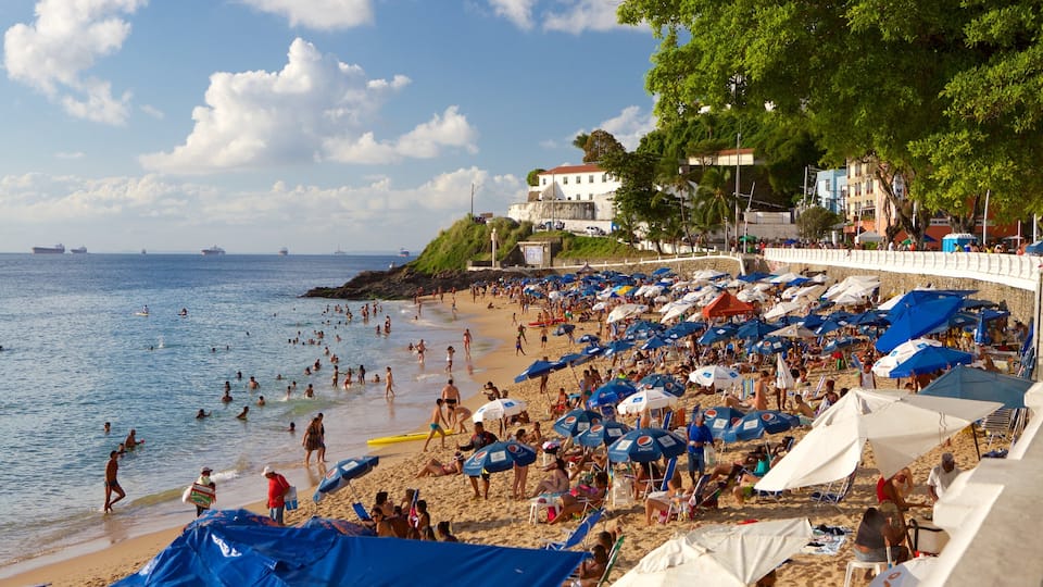 Porto da Barra Beach qui includes vues littorales, baignade et plage de sable