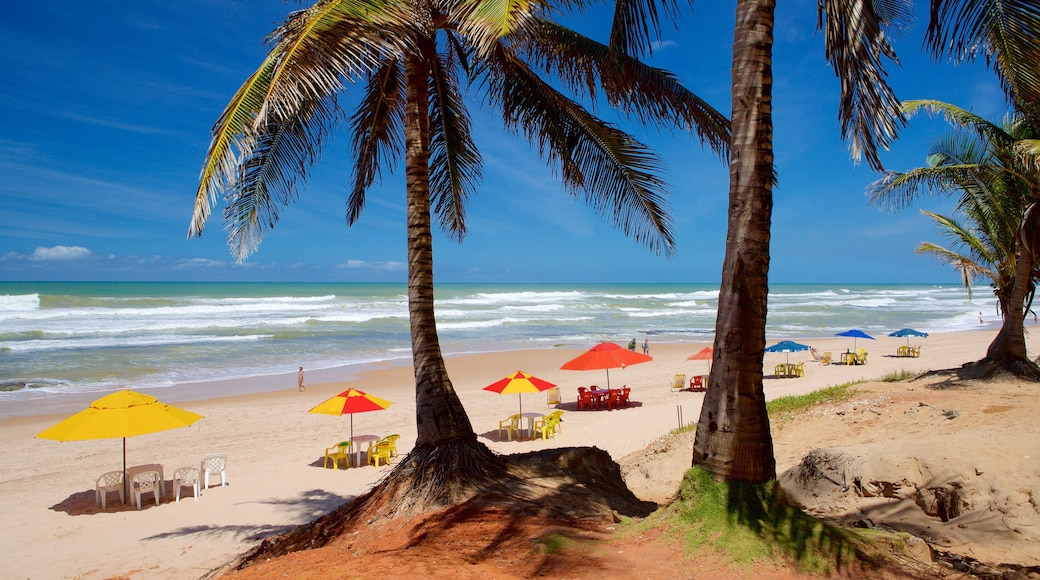 Flamengo Beach que inclui ondas, cenas tropicais e uma praia