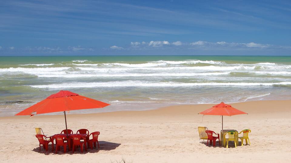 Salvador which includes surf, general coastal views and a beach