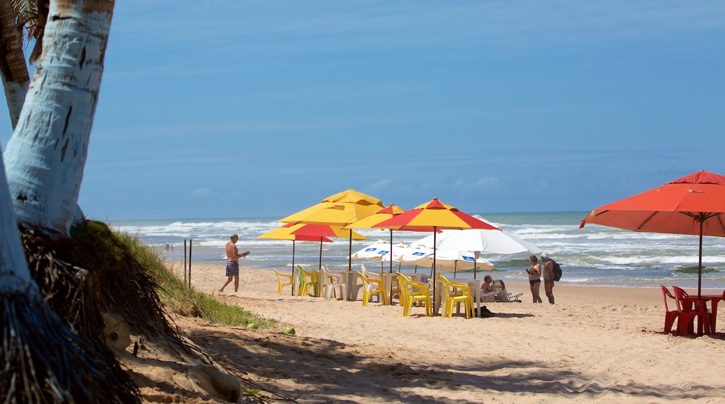 Flamengo Beach welches beinhaltet Strand und allgemeine Küstenansicht