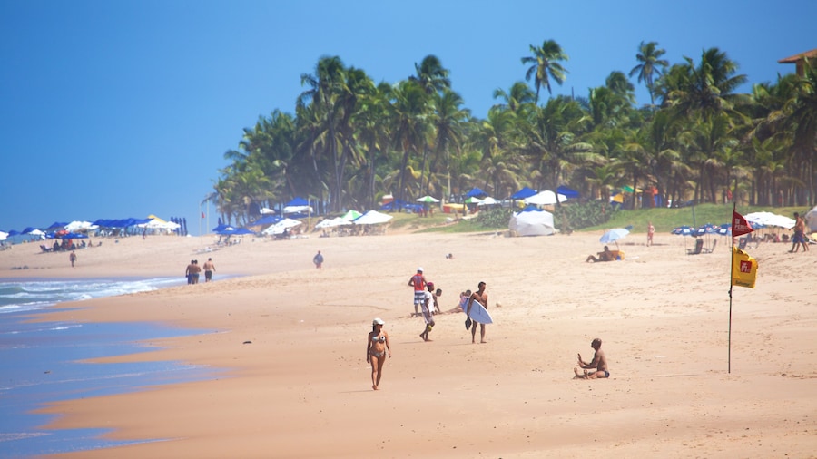 Flamengo Beach caracterizando uma praia de areia, cenas tropicais e paisagens litorĂąneas