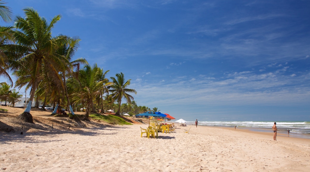 Flamengo Beach que inclui cenas tropicais, paisagens litorâneas e uma praia