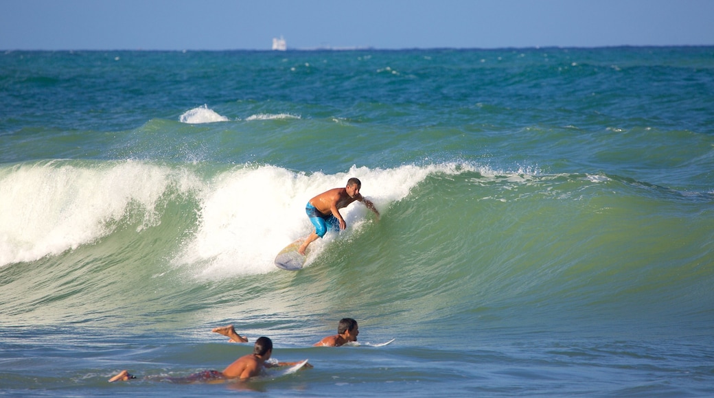 Praia de Maracaípe mostrando surfe, ondas e paisagens litorâneas