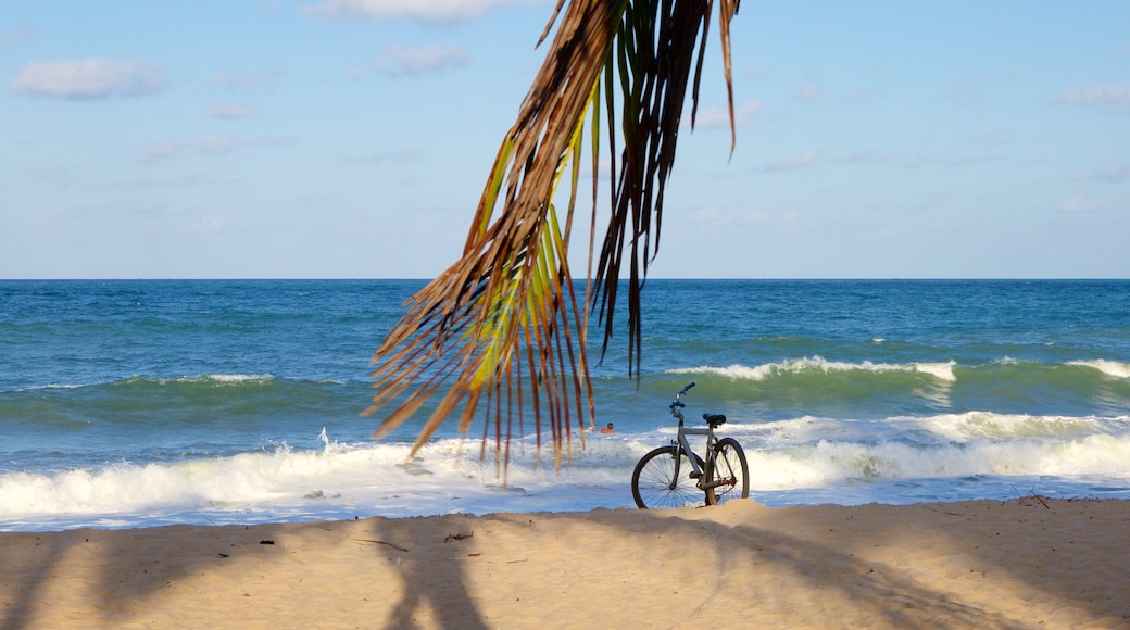 Maracaipe Beach showing general coastal views, surf and a beach