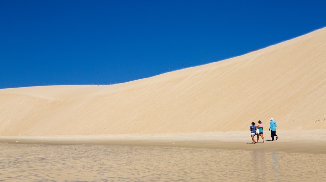 Genipabu strand som inkluderer sandstrand og kyst i tillegg til en liten gruppe med mennesker