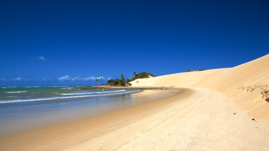 Genipabu Beach featuring a sandy beach and general coastal views
