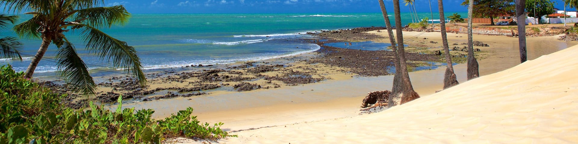 Genipabu Beach showing a sandy beach, general coastal views and tropical scenes