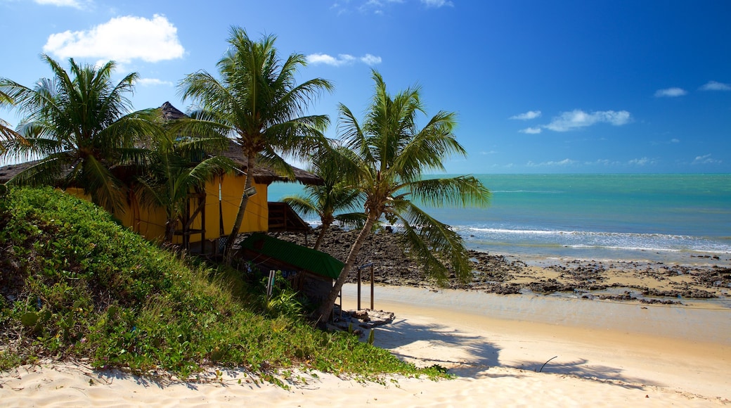 Genipabu Beach which includes a sandy beach, general coastal views and tropical scenes