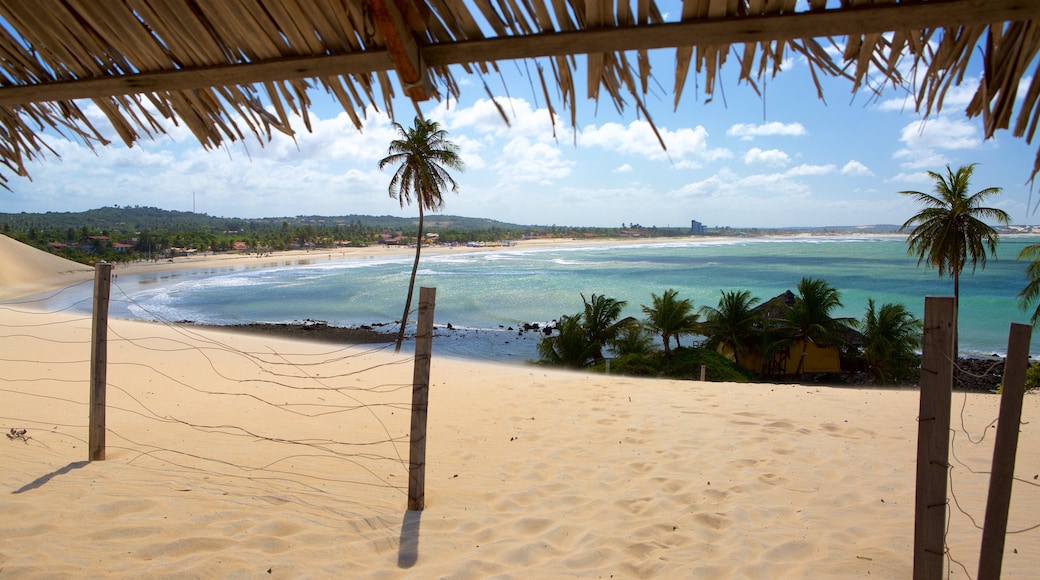 Genipabu Beach welches beinhaltet allgemeine Küstenansicht, Sandstrand und tropische Szenerien