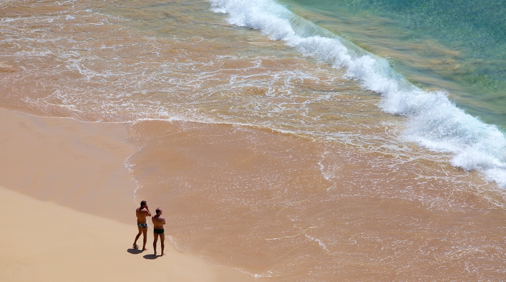 Praia do Sancho que inclui paisagens litorâneas e ondas assim como um casal