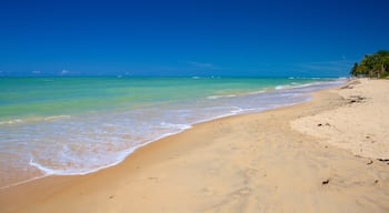 Pitinga strand som visar kustutsikter, en strand och vågor