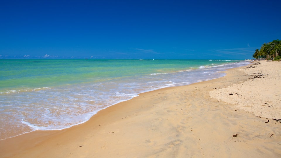 Pitinga Beach showing surf, general coastal views and a sandy beach