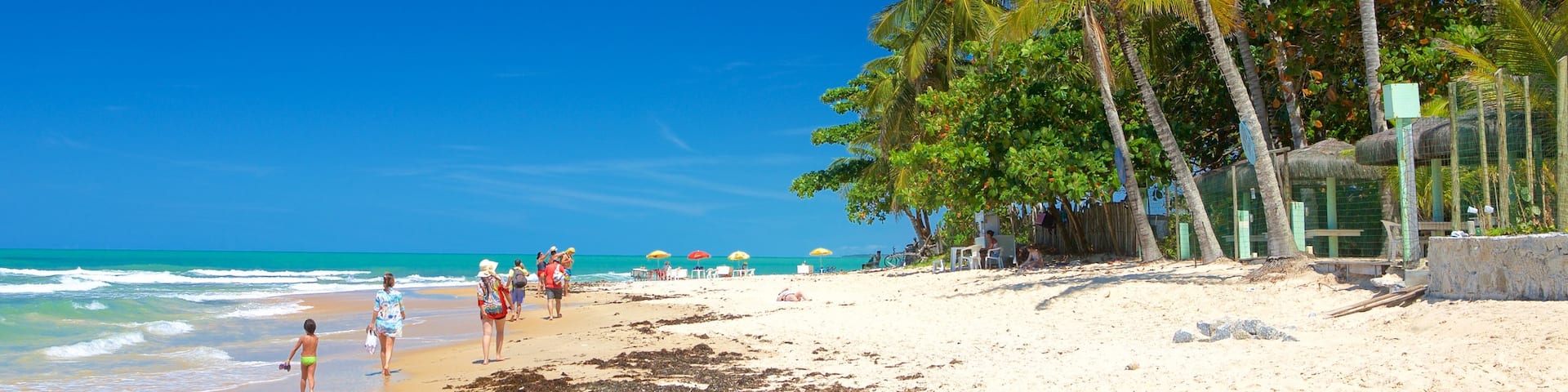 Pitinga Beach showing a beach, tropical scenes and general coastal views