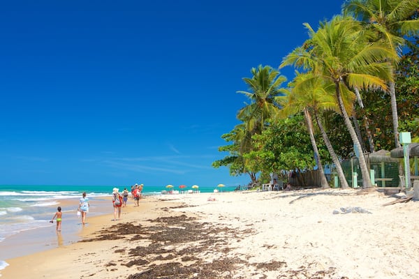 Plage de Pitinga qui includes plage de sable, scĂšnes tropicales et vues littorales