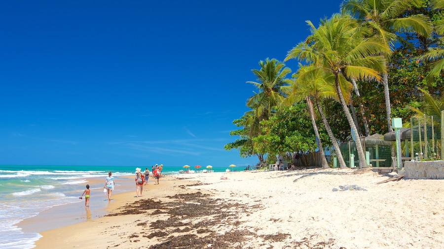 Praia da Pitinga