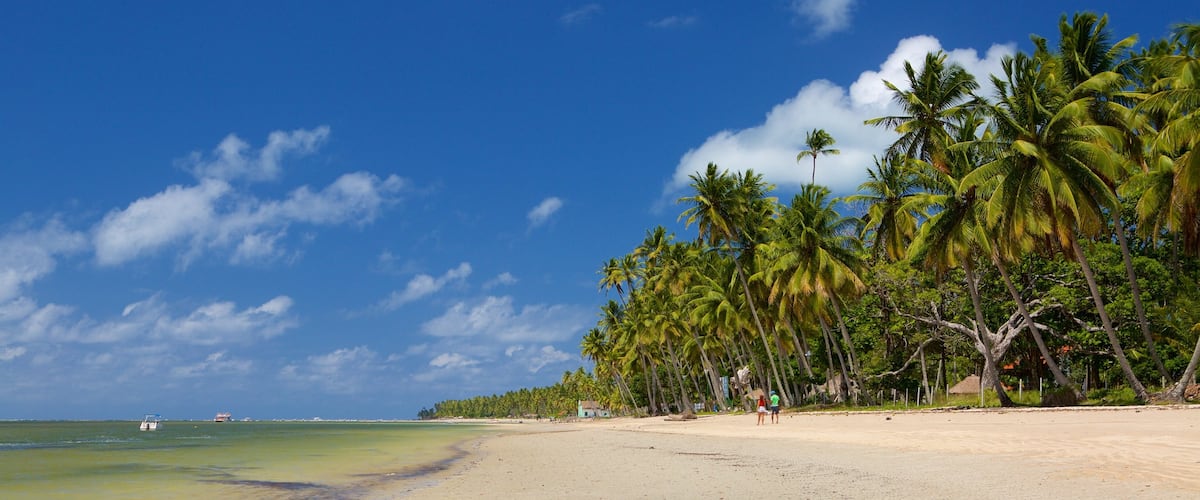 Tamandare which includes tropical scenes, a beach and general coastal views