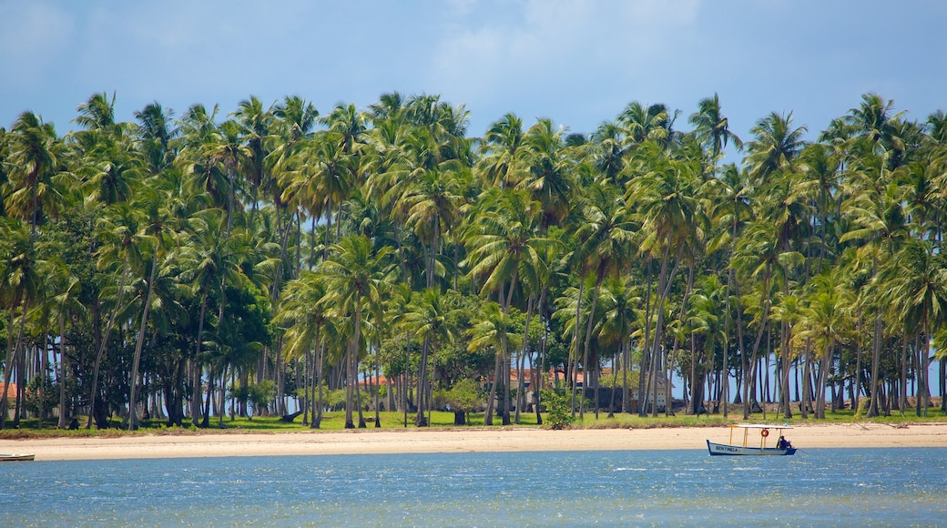 Tamandare toont algemene kustgezichten, een strand en tropische uitzichten