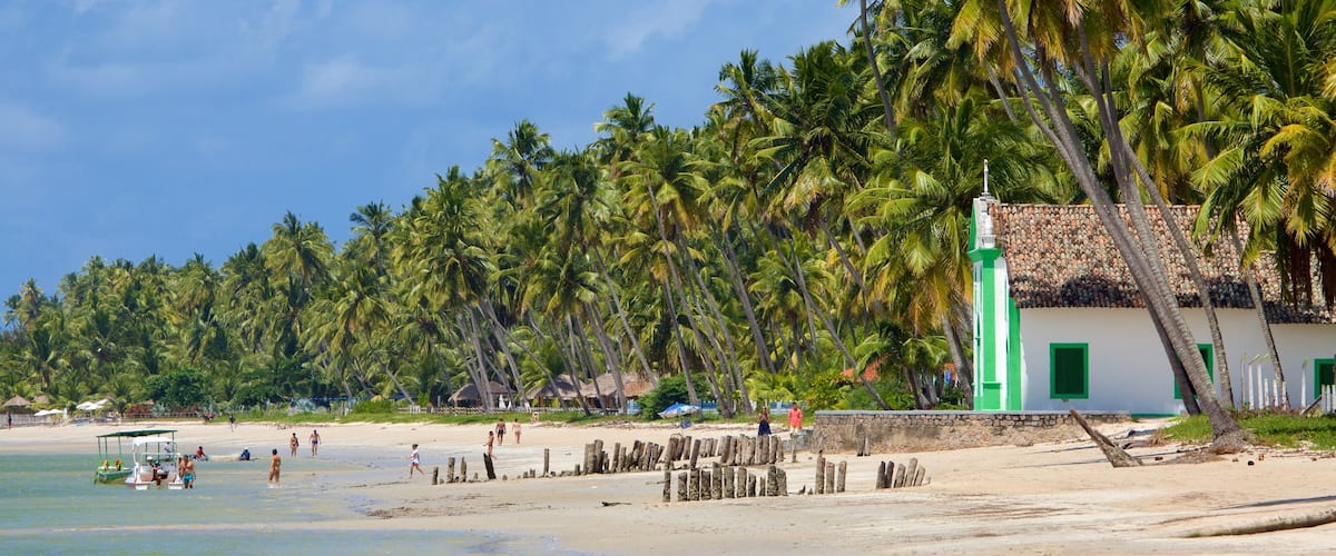 Tamandaré mettant en vedette scènes tropicales, vues littorales et plage