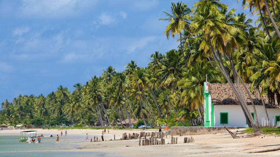 Tamandaré