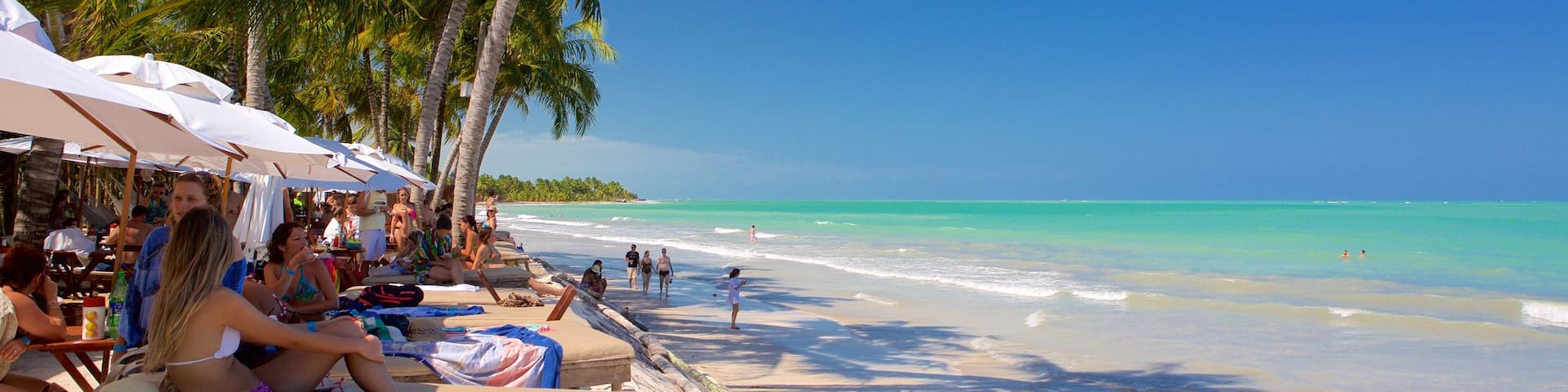 Maceio featuring tropical scenes, general coastal views and a beach