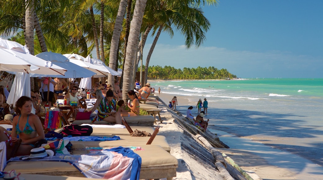 Playa Ipioca ofreciendo vistas de una costa, un hotel o complejo turístico de lujo y escenas tropicales