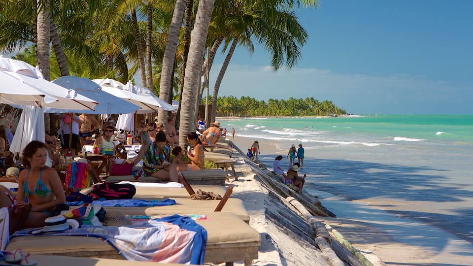 Plage de Ipioca montrant vues littorales, scènes tropicales et plage