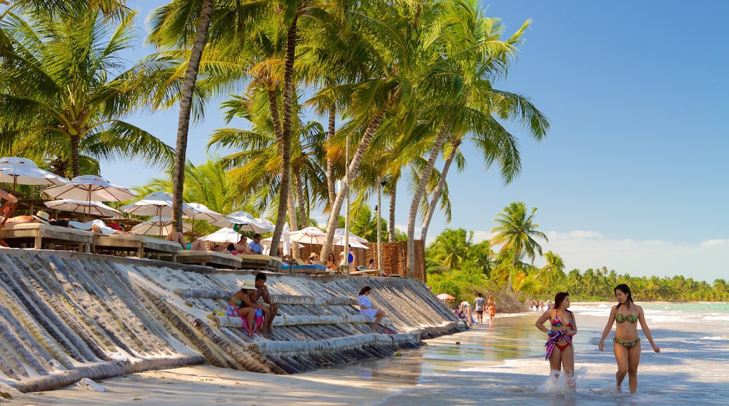 Maceió que incluye vistas generales de la costa, escenas tropicales y una playa de arena