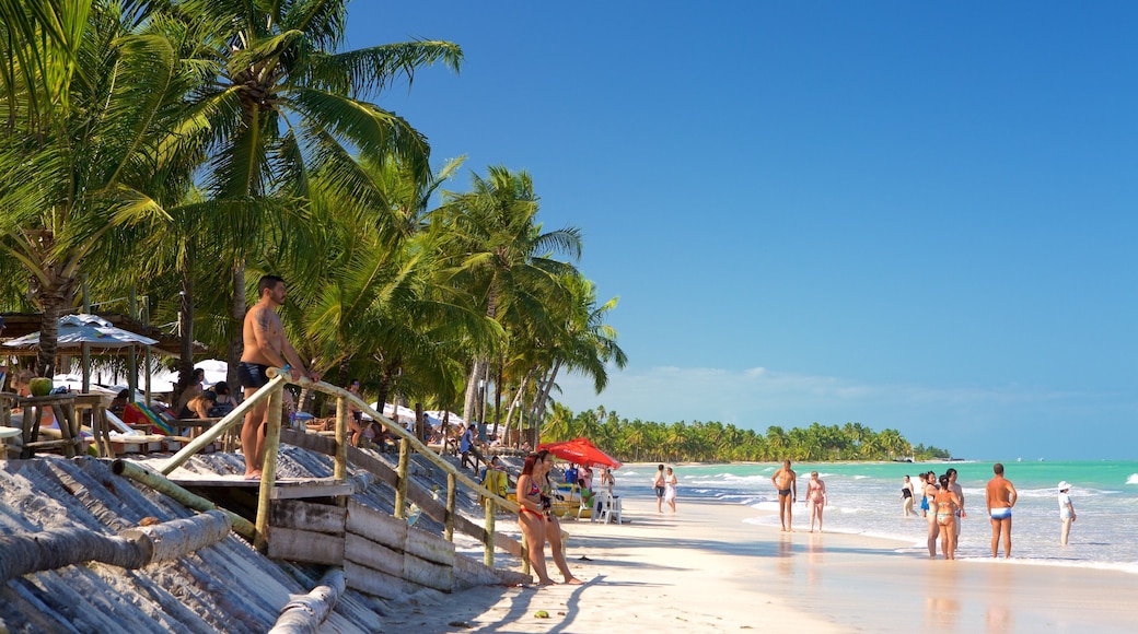 Ipioca Beach which includes tropical scenes, a sandy beach and general coastal views