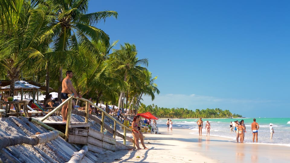 Plage de Ipioca montrant scènes tropicales, plage et vues littorales