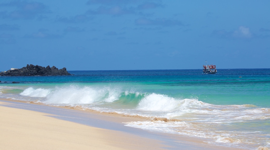 หาด Cacimba do Padre เนื้อเรื่องที่ หาดทราย, ชายฝั่งทะเล และ โต้คลื่น