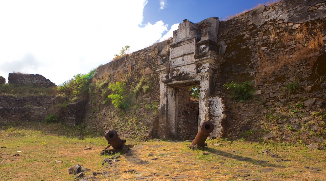 Kubu Remedios