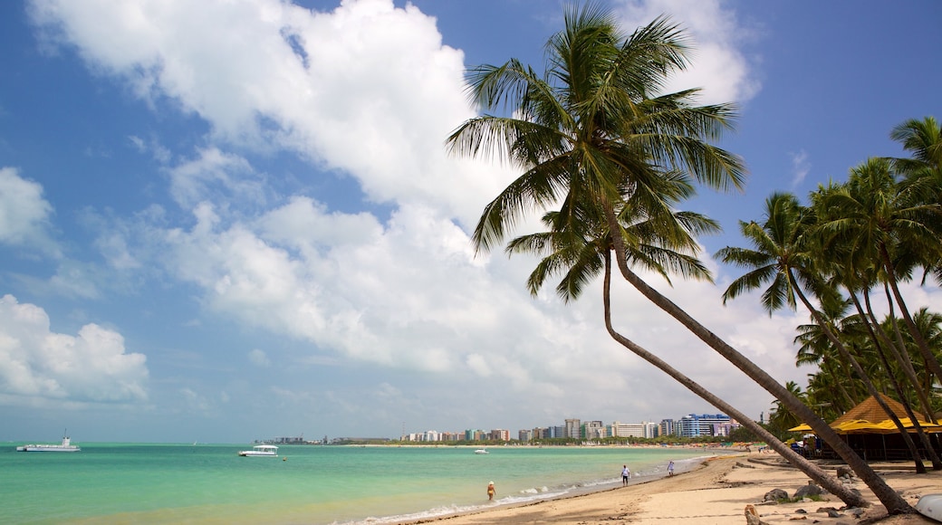 Pajuçara das einen Strand, allgemeine Küstenansicht und tropische Szenerien