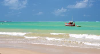 Praia de Pajuçara mostrando pesca, uma praia e canoagem