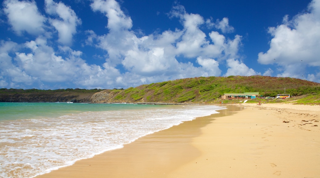 Praia do Sueste mit einem allgemeine Küstenansicht und Sandstrand