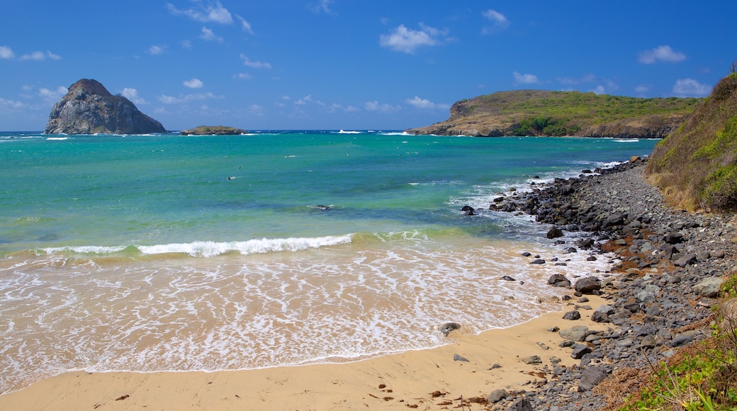 Playa Sueste que incluye costa rocosa, una playa y surf