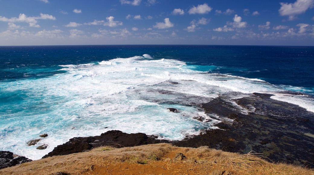 Ponta das Caracas mettant en vedette vues littorales, vagues et côte escarpée