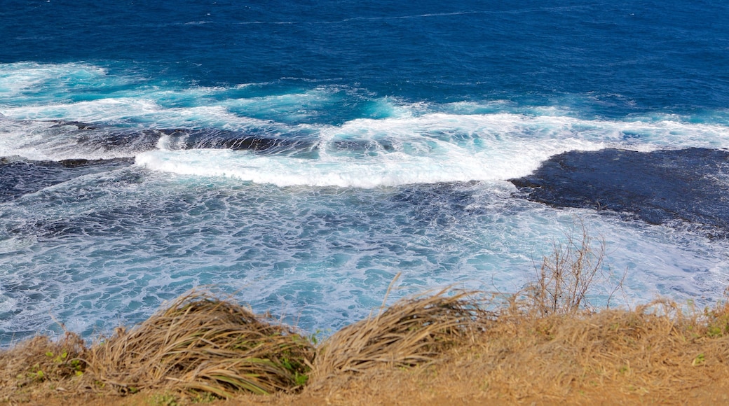 Ponta das Caracas qui includes vagues, côte escarpée et vues littorales