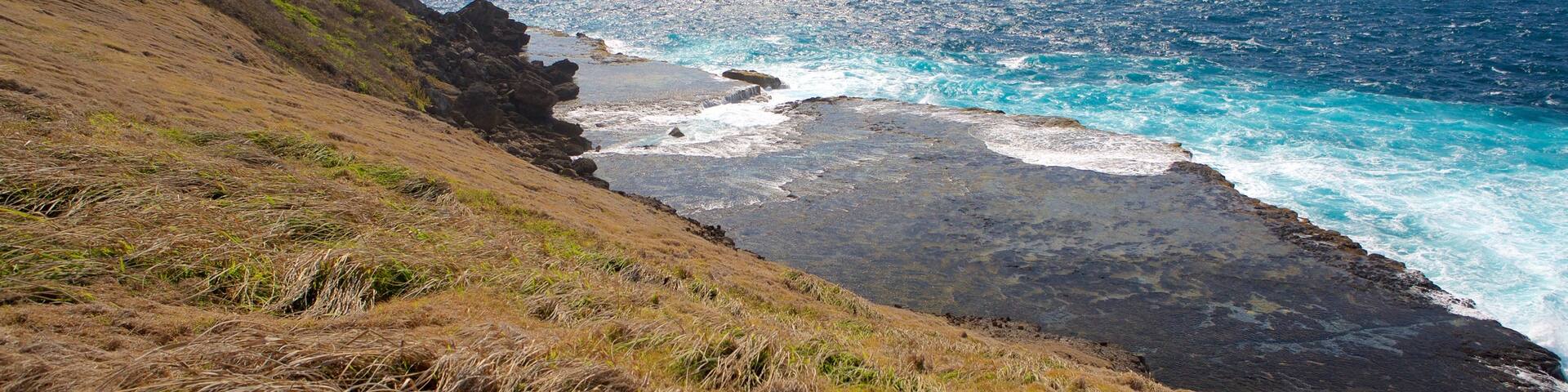 Caracas Point showing mountains, rocky coastline and general coastal views
