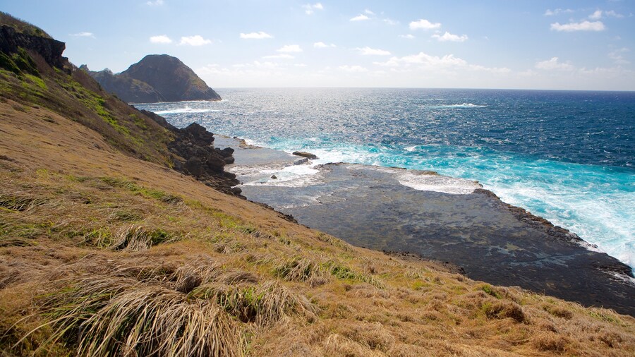 Caracas Point