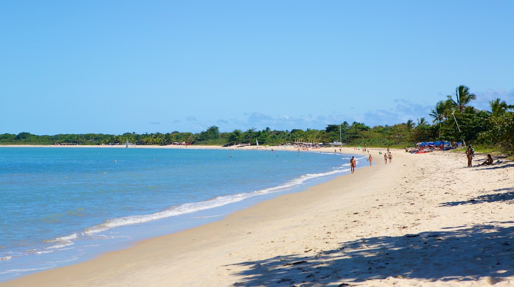 Muta Beach which includes a sandy beach, general coastal views and tropical scenes