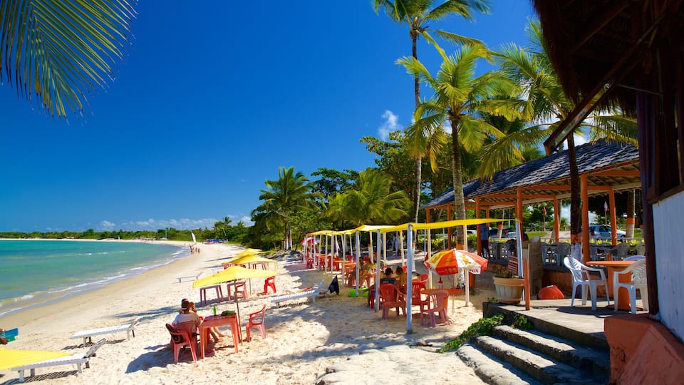Muta Beach featuring a sandy beach, outdoor eating and tropical scenes